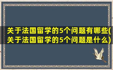 关于法国留学的5个问题有哪些(关于法国留学的5个问题是什么)