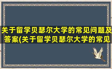 关于留学贝瑟尔大学的常见问题及答案(关于留学贝瑟尔大学的常见问题和答案)