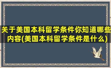 关于美国本科留学条件你知道哪些内容(美国本科留学条件是什么)