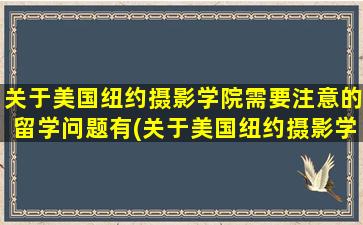 关于美国纽约摄影学院需要注意的留学问题有(关于美国纽约摄影学院需要注意的留学问题是)