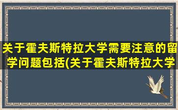 关于霍夫斯特拉大学需要注意的留学问题包括(关于霍夫斯特拉大学需要注意的留学问题是)