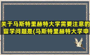 关于马斯特里赫特大学需要注意的留学问题是(马斯特里赫特大学申请条件)