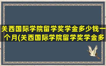 关西国际学院留学奖学金多少钱一个月(关西国际学院留学奖学金多少钱啊)