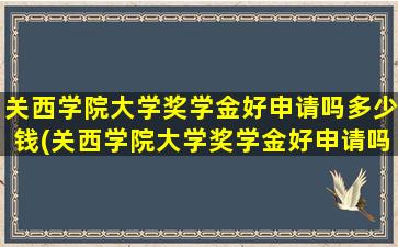 关西学院大学奖学金好申请吗多少钱(关西学院大学奖学金好申请吗现在)