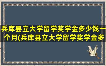 兵库县立大学留学奖学金多少钱一个月(兵库县立大学留学奖学金多少钱啊)