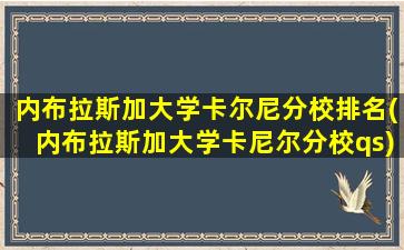 内布拉斯加大学卡尔尼分校排名(内布拉斯加大学卡尼尔分校qs)