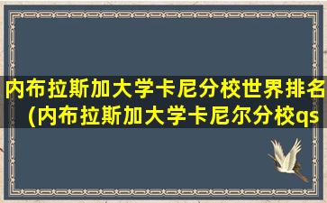 内布拉斯加大学卡尼分校世界排名(内布拉斯加大学卡尼尔分校qs)