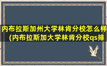 内布拉斯加州大学林肯分校怎么样(内布拉斯加大学林肯分校qs排名)