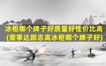 冰柜哪个牌子好质量好性价比高(荣事达跟志高冰柜哪个牌子好)