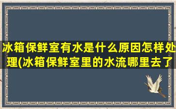 冰箱保鲜室有水是什么原因怎样处理(冰箱保鲜室里的水流哪里去了)