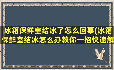 冰箱保鲜室结冰了怎么回事(冰箱保鲜室结冰怎么办教你一招快速解决)