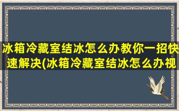 冰箱冷藏室结冰怎么办教你一招快速解决(冰箱冷藏室结冰怎么办视频教程)