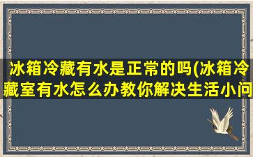 冰箱冷藏有水是正常的吗(冰箱冷藏室有水怎么办教你解决生活小问题)