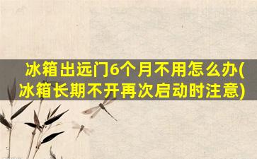 冰箱出远门6个月不用怎么办(冰箱长期不开再次启动时注意)