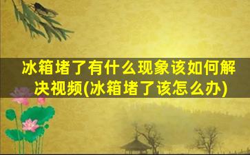 冰箱堵了有什么现象该如何解决视频(冰箱堵了该怎么办)