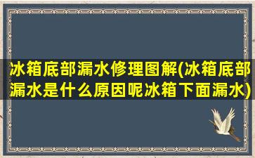 冰箱底部漏水修理图解(冰箱底部漏水是什么原因呢冰箱下面漏水)