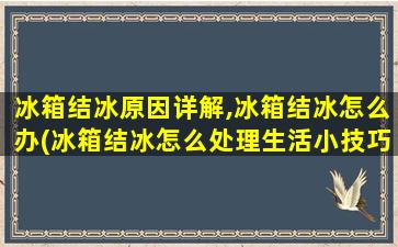 冰箱结冰原因详解,冰箱结冰怎么办(冰箱结冰怎么处理生活小技巧)