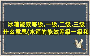 冰箱能效等级,一级,二级,三级什么意思(冰箱的能效等级一级和三级)