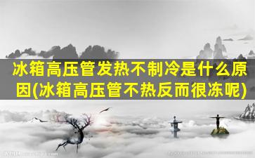 冰箱高压管发热不制冷是什么原因(冰箱高压管不热反而很冻呢)