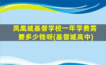 凤凰城基督学校一年学费需要多少钱呀(基督城高中)