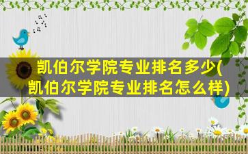 凯伯尔学院专业排名多少(凯伯尔学院专业排名怎么样)