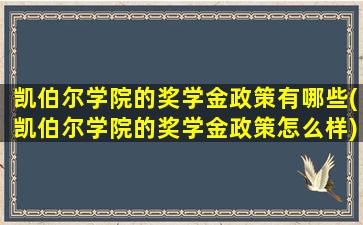 凯伯尔学院的奖学金政策有哪些(凯伯尔学院的奖学金政策怎么样)