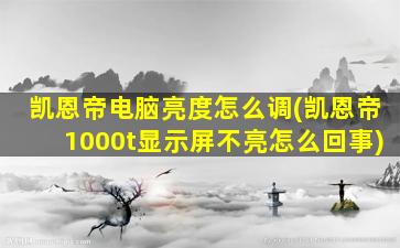 凯恩帝电脑亮度怎么调(凯恩帝1000t显示屏不亮怎么回事)