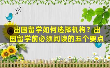 出国留学如何选择机构？出国留学前必须阅读的五个要点