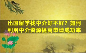 出国留学找中介好不好？如何利用中介资源提高申请成功率