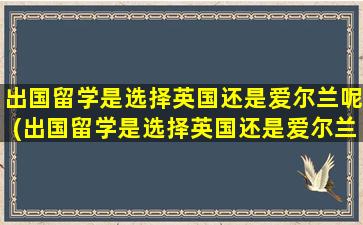 出国留学是选择英国还是爱尔兰呢(出国留学是选择英国还是爱尔兰比较好)