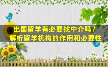 出国留学有必要找中介吗？解析留学机构的作用和必要性