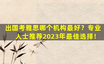 出国考雅思哪个机构最好？专业人士推荐2023年最佳选择！