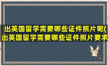 出英国留学需要哪些证件照片呢(出英国留学需要哪些证件照片要求)