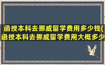 函授本科去挪威留学费用多少钱(函授本科去挪威留学费用大概多少)