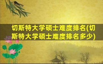 切斯特大学硕士难度排名(切斯特大学硕士难度排名多少)