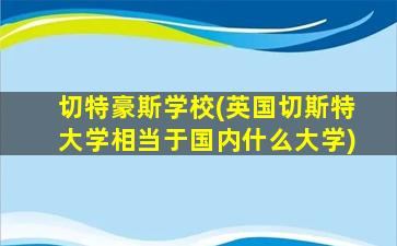 切特豪斯学校(英国切斯特大学相当于国内什么大学)