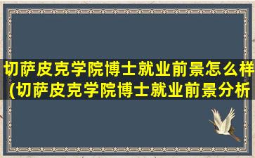 切萨皮克学院博士就业前景怎么样(切萨皮克学院博士就业前景分析)