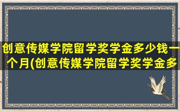 创意传媒学院留学奖学金多少钱一个月(创意传媒学院留学奖学金多少钱啊)