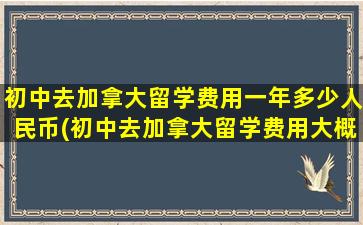 初中去加拿大留学费用一年多少人民币(初中去加拿大留学费用大概多少)