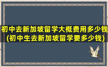 初中去新加坡留学大概费用多少钱(初中生去新加坡留学要多少钱)