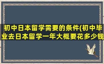 初中日本留学需要的条件(初中毕业去日本留学一年大概要花多少钱)