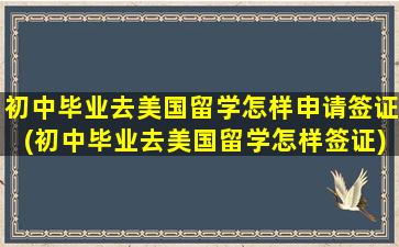 初中毕业去美国留学怎样申请签证(初中毕业去美国留学怎样签证)