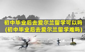 初中毕业后去爱尔兰留学可以吗(初中毕业后去爱尔兰留学难吗)