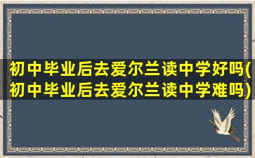 初中毕业后去爱尔兰读中学好吗(初中毕业后去爱尔兰读中学难吗)