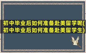 初中毕业后如何准备赴美留学呢(初中毕业后如何准备赴美留学生)