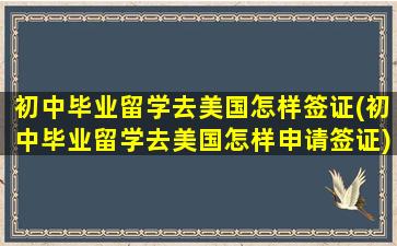 初中毕业留学去美国怎样签证(初中毕业留学去美国怎样申请签证)