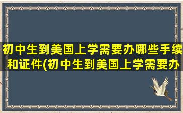 初中生到美国上学需要办哪些手续和证件(初中生到美国上学需要办哪些手续和条件)