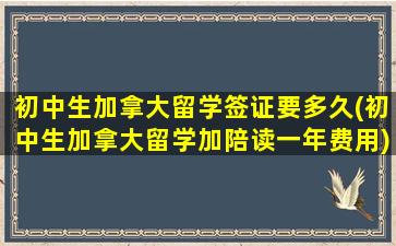 初中生加拿大留学签证要多久(初中生加拿大留学加陪读一年费用)