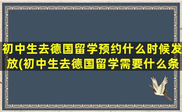 初中生去德国留学预约什么时候发放(初中生去德国留学需要什么条件呢)