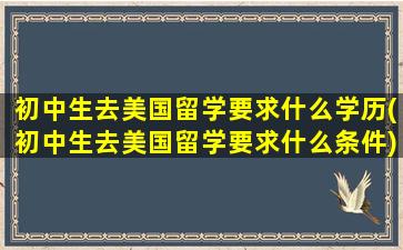 初中生去美国留学要求什么学历(初中生去美国留学要求什么条件)